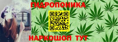 apvp Шахты