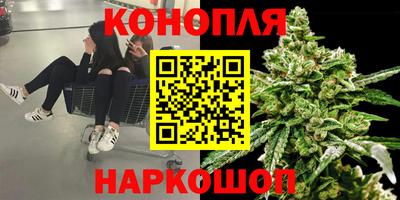 apvp Шахты