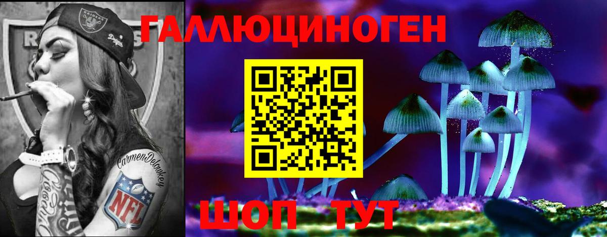 Псилоцибиновые грибы GOLDEN TEACHER  Вход с VPN  Белебей  наркотики  Галлюциногенные грибы Psilocybe 