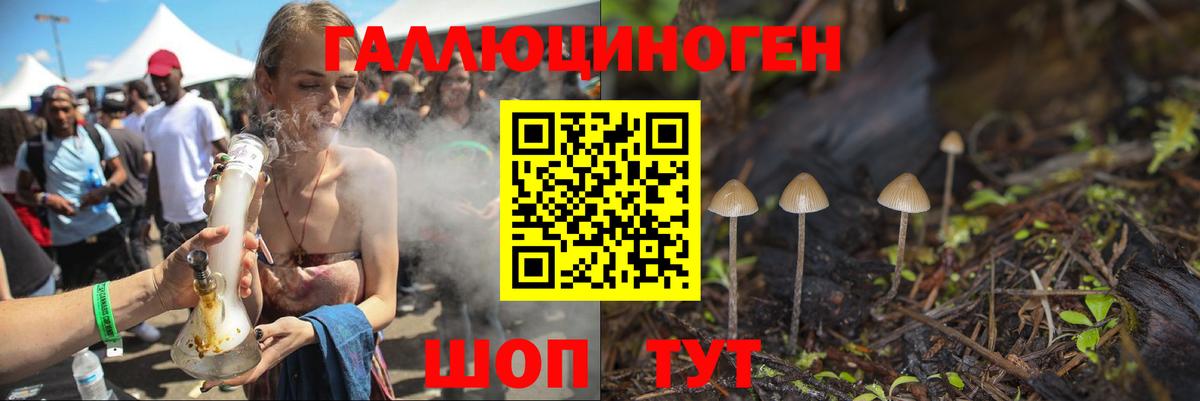 Псилоцибиновые грибы GOLDEN TEACHER Белебей